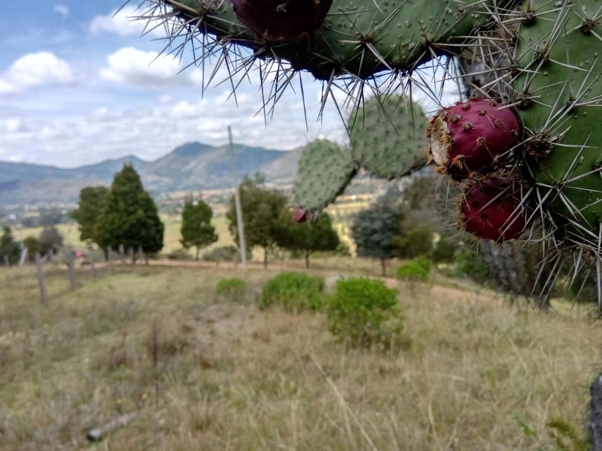 Hotel Campestre Los Duraznos Cucunubá Zewnętrze zdjęcie